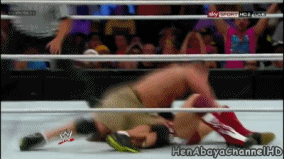  photo AttitudeAdjustment_zpse676e3b4.gif