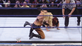 http://i950.photobucket.com/albums/ad341/DarkSwagger/Gifs/Dropkick_zpscc745124.gif