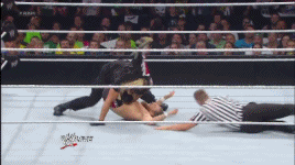  photo ReversePinfallNoYesLock_zps3ee03880.gif