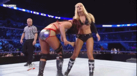 http://i950.photobucket.com/albums/ad341/DarkSwagger/Gifs/SwissUppercut2_zps3a199ee2.gif?t=1378501894
