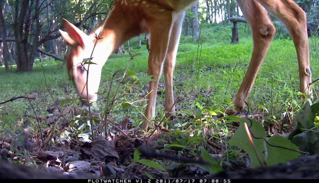 Plotwatcher Software at Robert Dalrymple blog