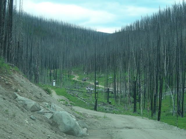 DSCN5027.jpg