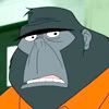 venture bros king gorilla