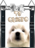 gracias gracias