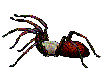 Gifs Animados - Imagenes Animadas