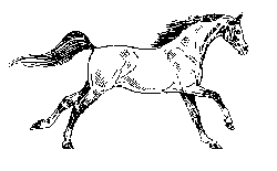Gifs Animados - Imagenes Animadas