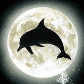 Gifs Animados de Delfines - Imagenes Animadas de Delfines