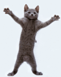 Gifs Animados - Imagenes Animadas