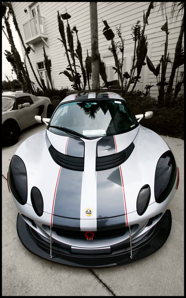 http://i950.photobucket.com/albums/ad345/jeg2010/Lotus1.jpg