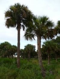  photo 16379a93-dc4a-4452-af60-d24eed0e07f0.jpg