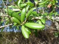  photo 3969942b-a0e3-4ec5-a5f3-b61bb38cff71.jpg