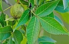  photo 3c2c387f-cc63-45dd-a8a2-c5fdd21fee44.jpg