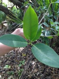  photo 69f549f5-0c7b-4cf5-848d-0608b9fc0016.jpg