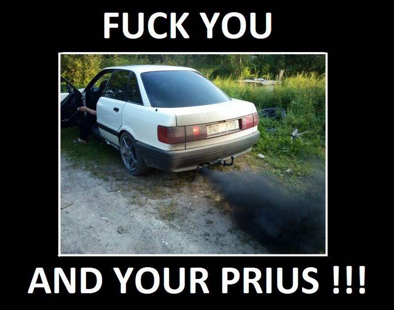 Pilt