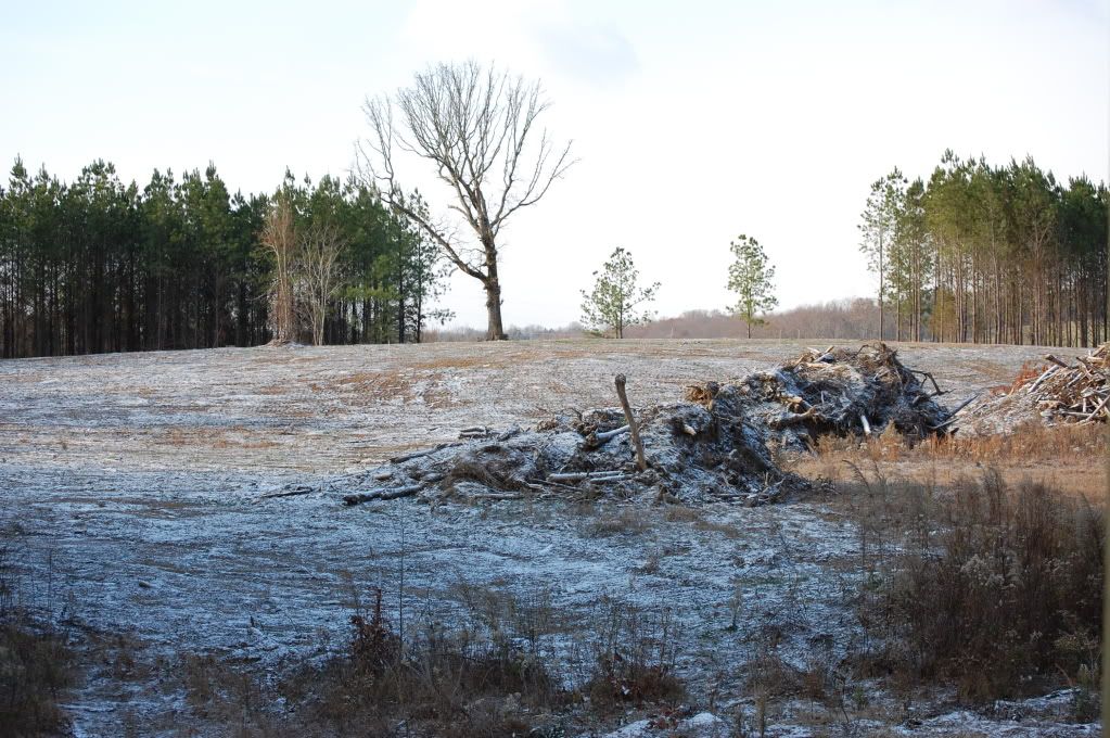 It's SNOWING in Niota this morning! (Knoxville, Murfreesboro pictures