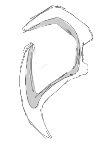 http://i950.photobucket.com/albums/ad350/wireins/2011-11-26b.png