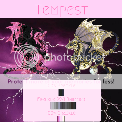 tempest%20BC.png