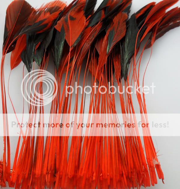 15 pcs stardust Rose stripped coque rooster feathers 5 6 inch  