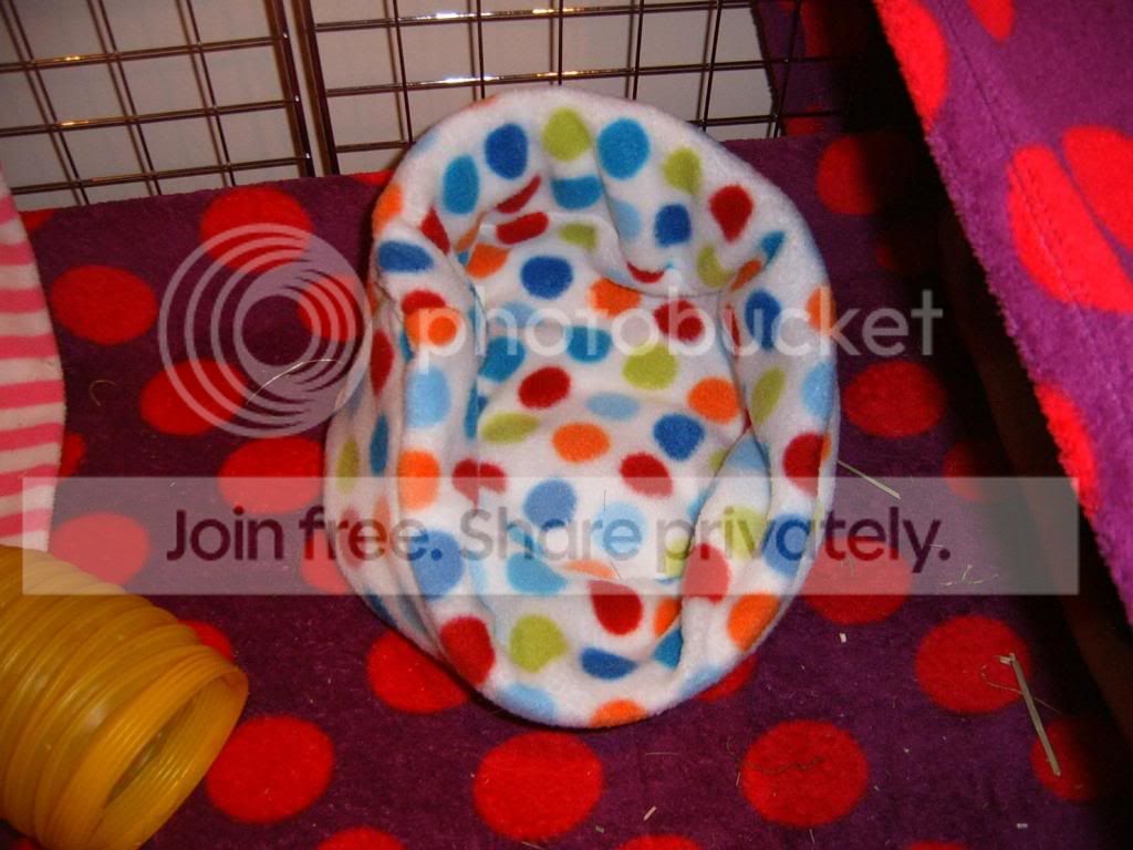 S3700011a.jpg