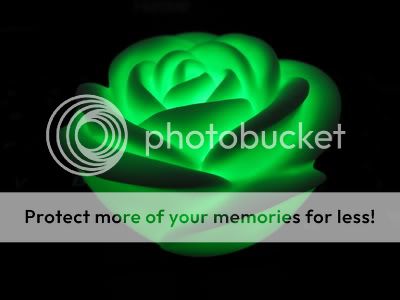 LED Flower Color Changing Glow Rose Electronic  