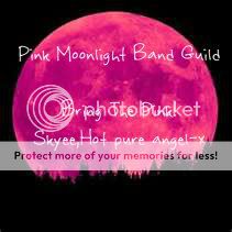 Pink Moon Light Band banner