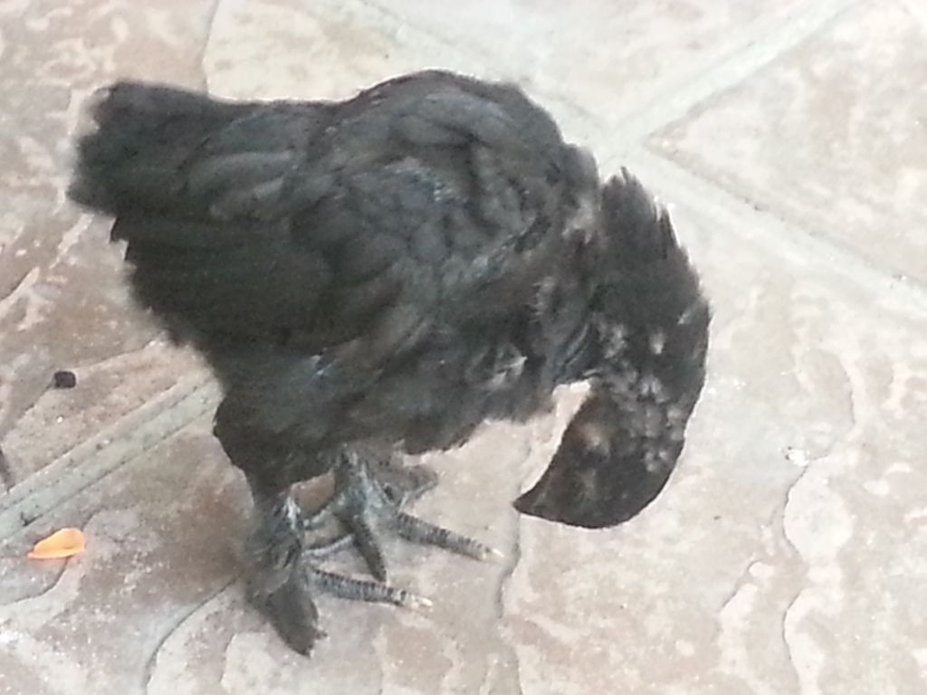 20130717_212817_zpsee1a5bda.jpg